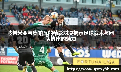 满冠体育手机网页版登录