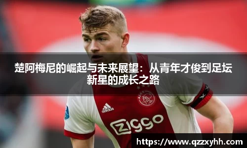 满冠体育手机网页版登录